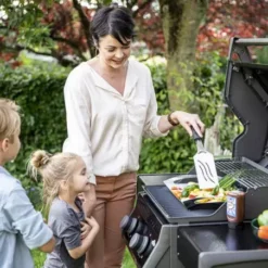 Barbecue Gaz Rogue 365 R 2 Brûleurs - NAPOLEON -BBQ Soldes barbecue gaz rogue 365 serie r 2 bruleurs 2