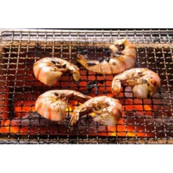 Barbecue Japonais Konro Stove 54 X 23 X 20 Cm BQ8WF -BBQ Soldes barbecue japonais konro stove 54 x 23 x 20 cm bq8wf 4